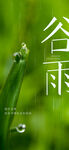谷雨