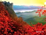柏尖山