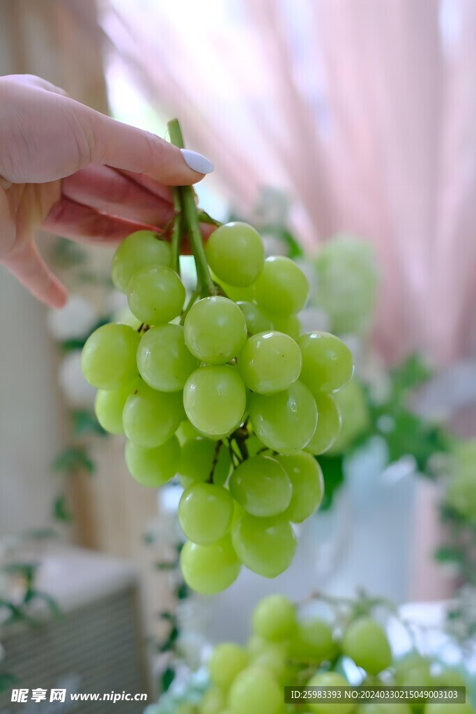 葡萄