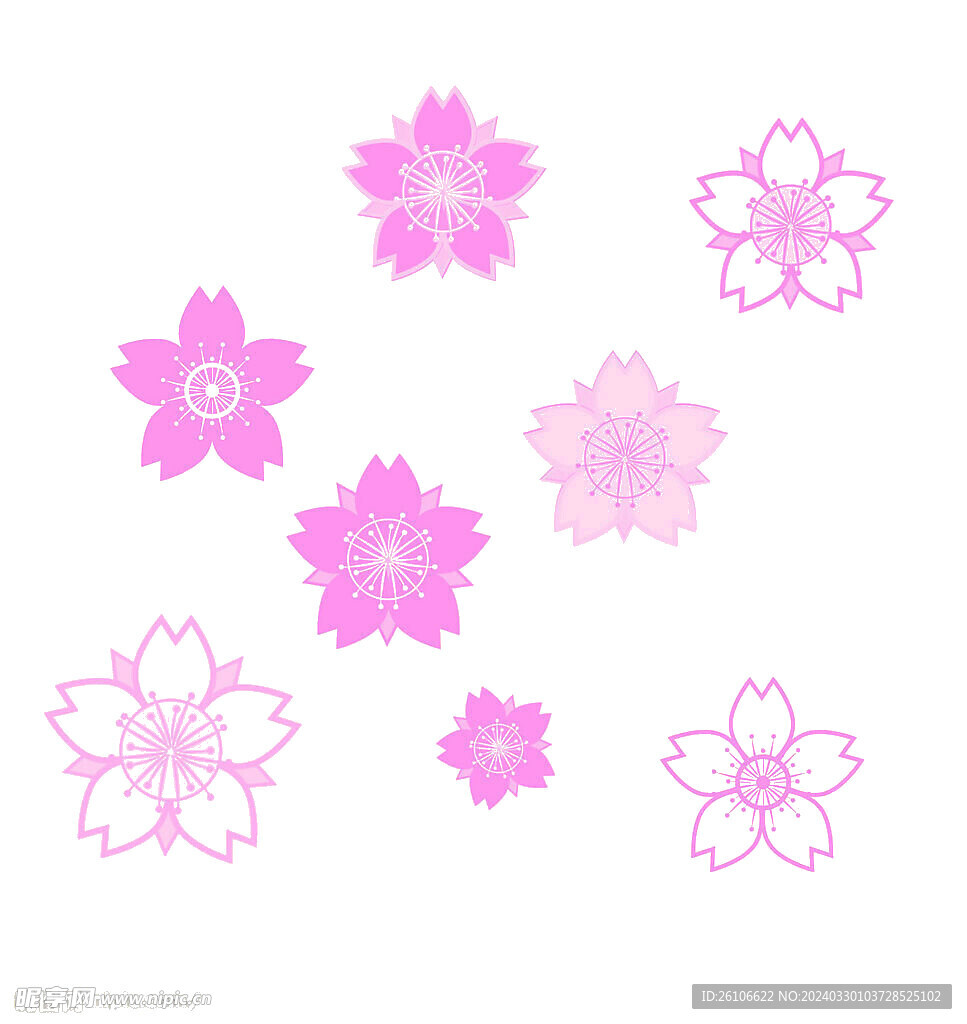 樱花