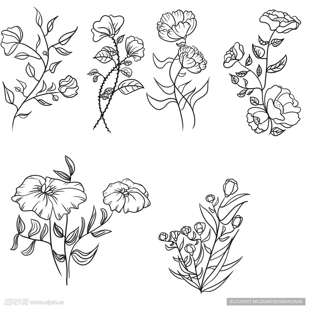 透明分层手绘植物花卉黑白线稿