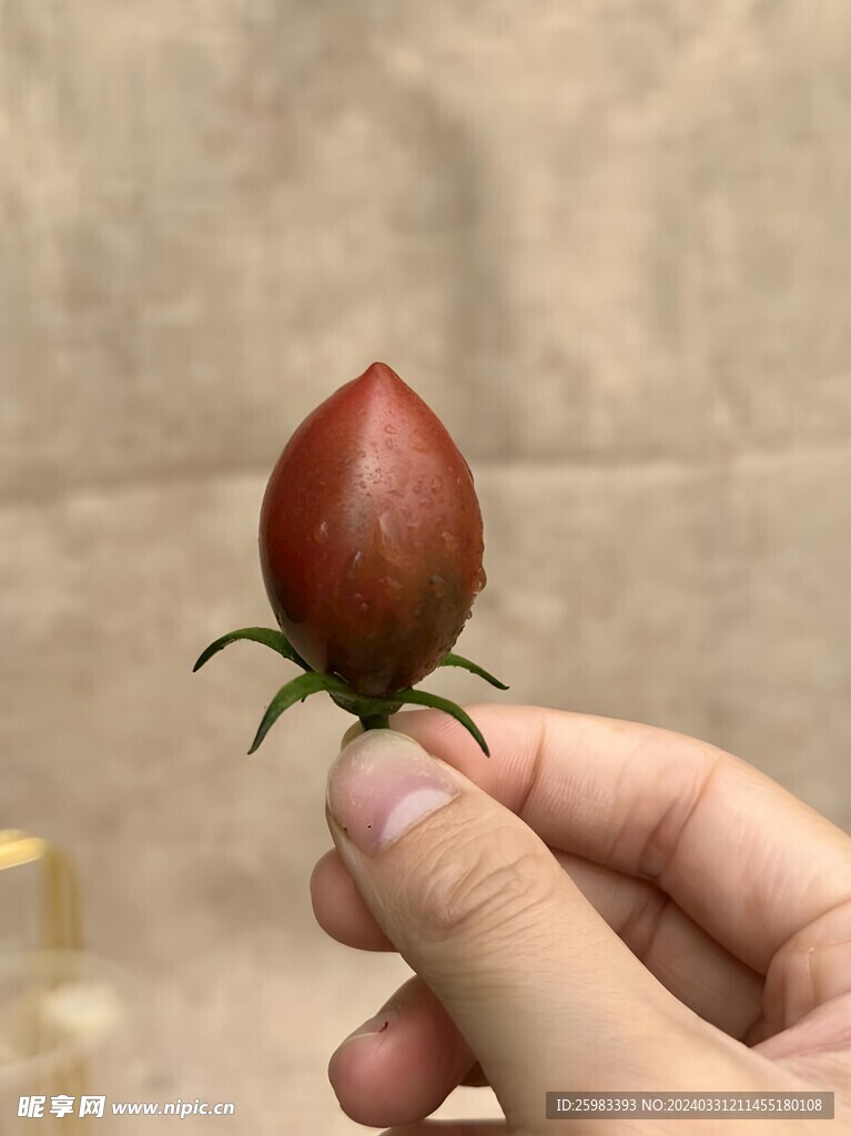 番茄