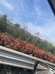 车窗外的风景