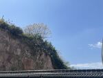 氛围感天空