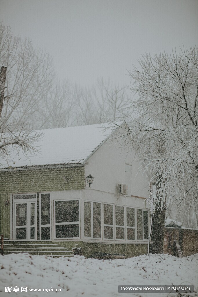 雪景  