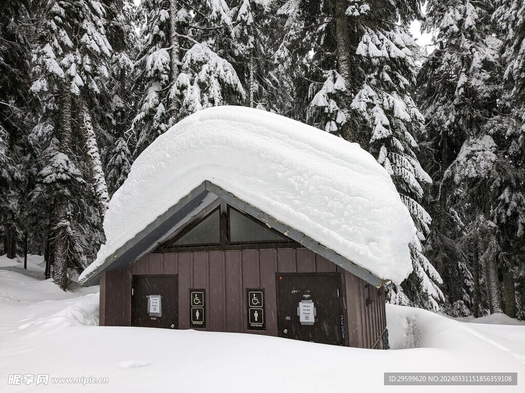 雪景  