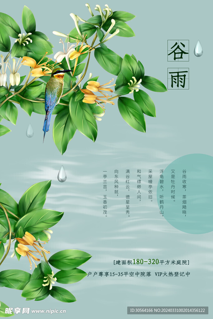 谷雨