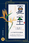 夏至海报