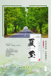 夏至 节气