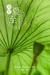 夏至