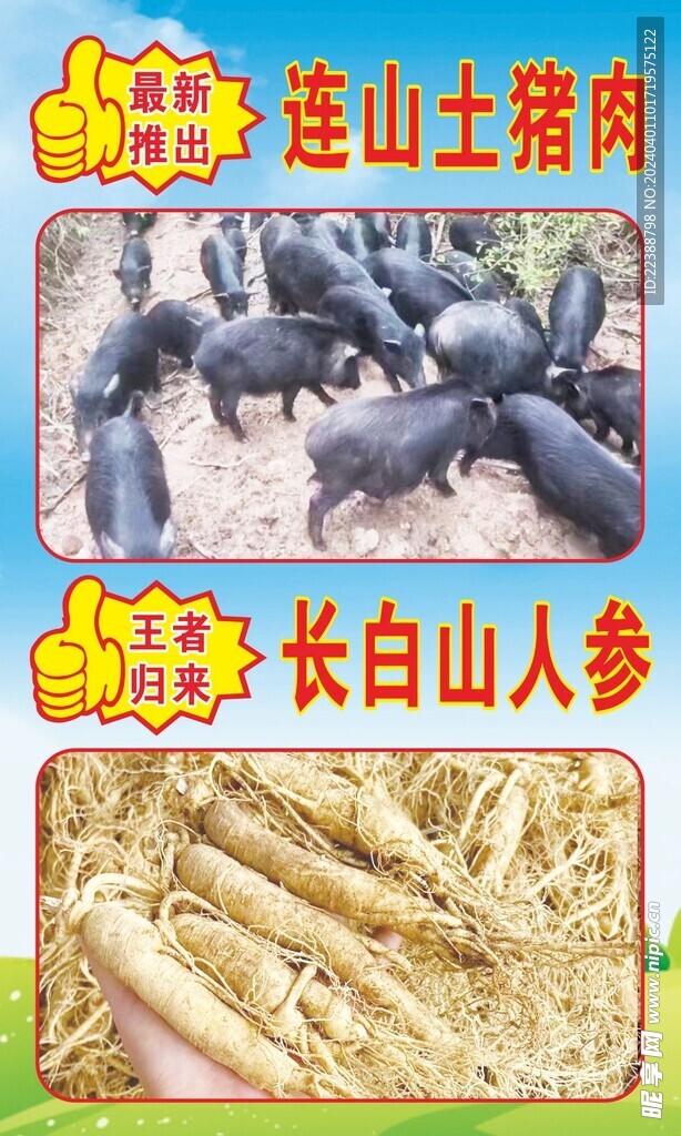 连山土猪海报