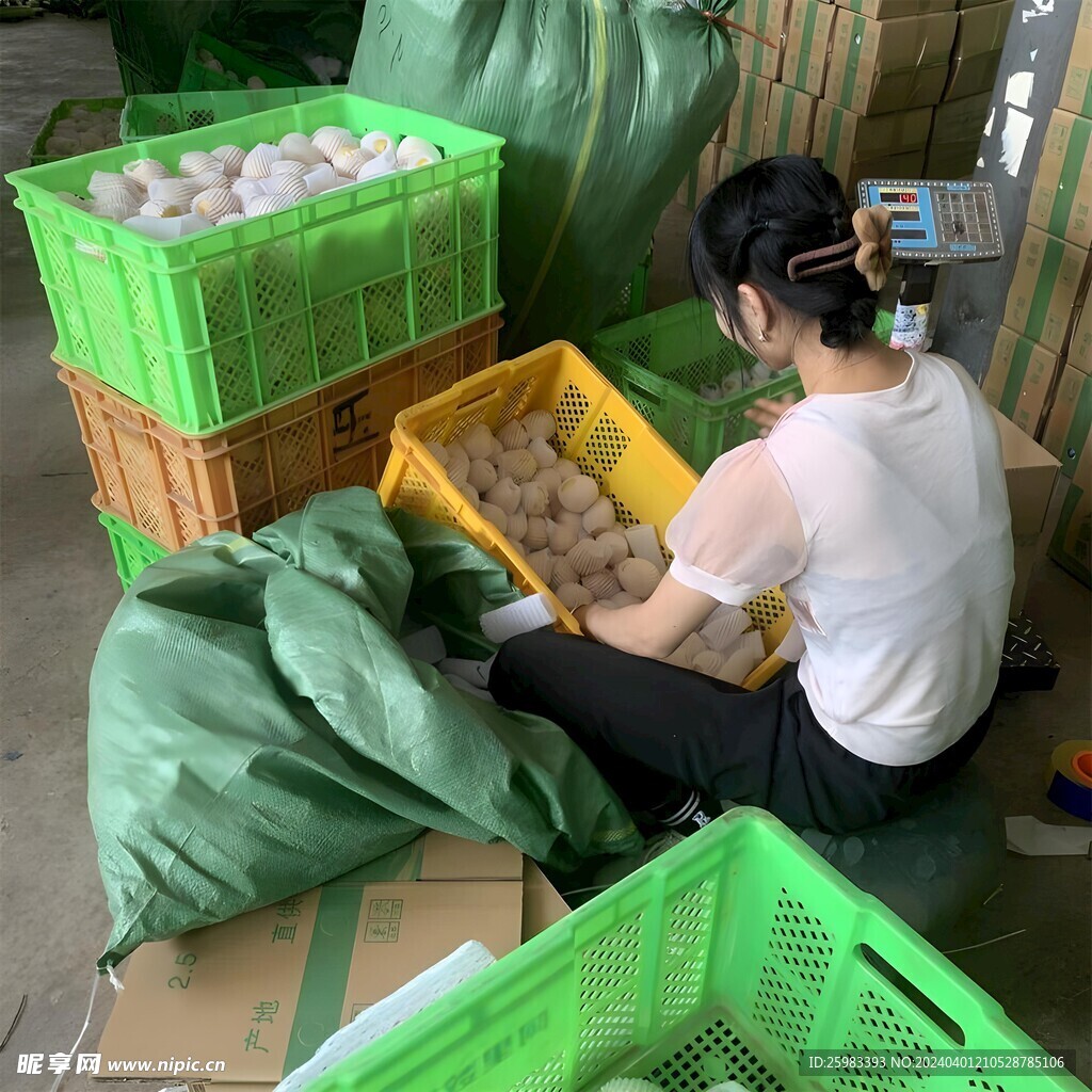 人参果