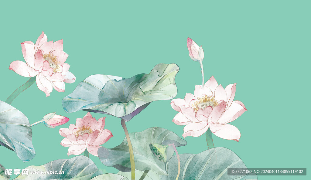 荷花