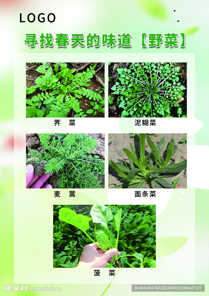 野菜