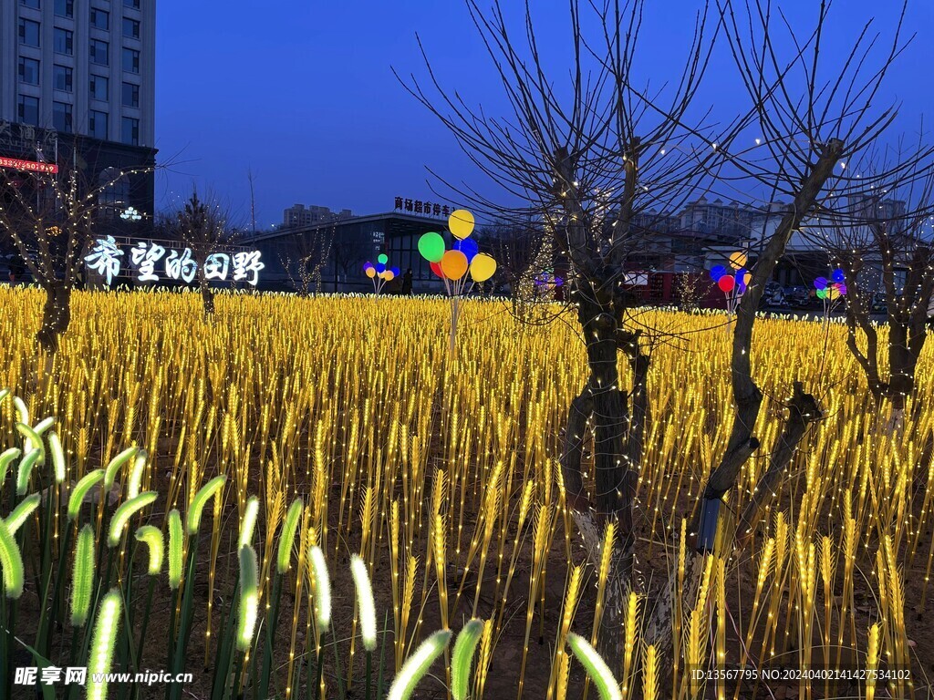 过年花灯展