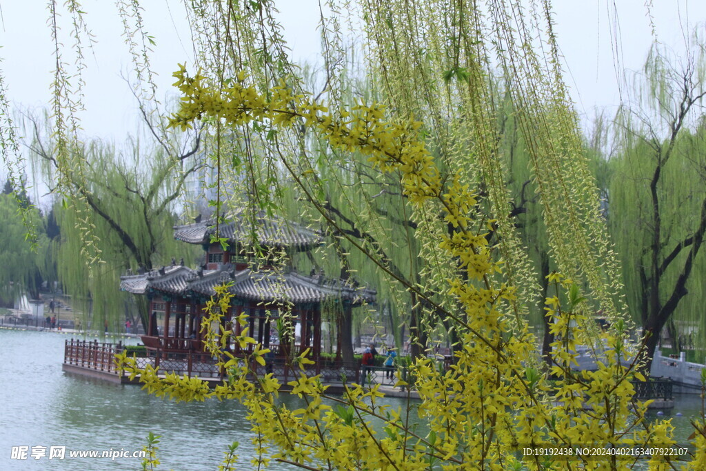 公园风景  