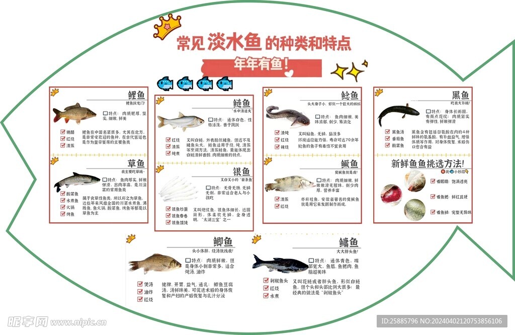 常见淡水鱼种类及特点