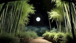 夜晚竹林，大全景，有圆月