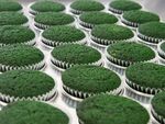 抹茶蛋糕甜品