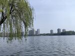 湖