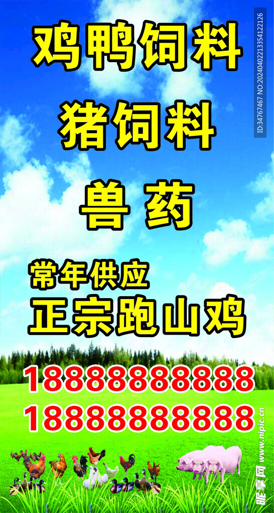 饲料