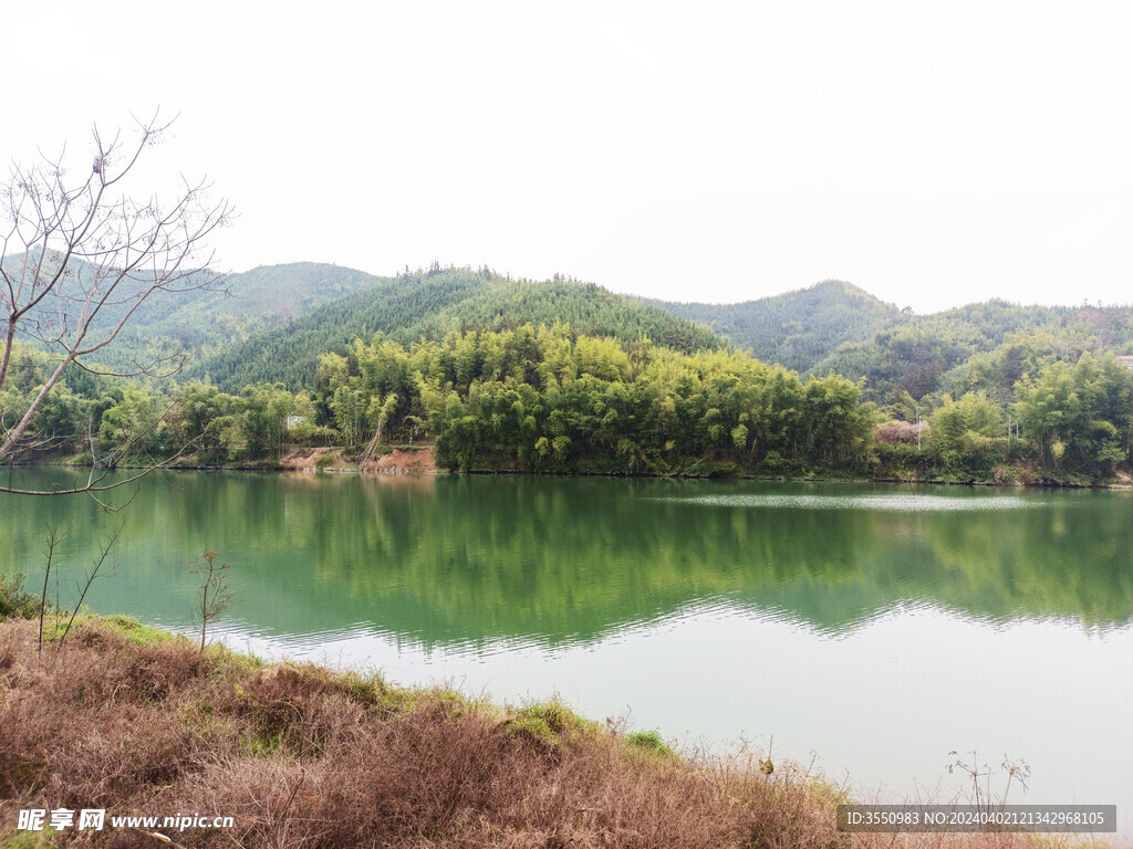 青山绿水