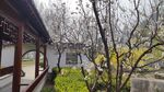 城墙房舍