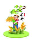 芒种麦穗民俗元素组合