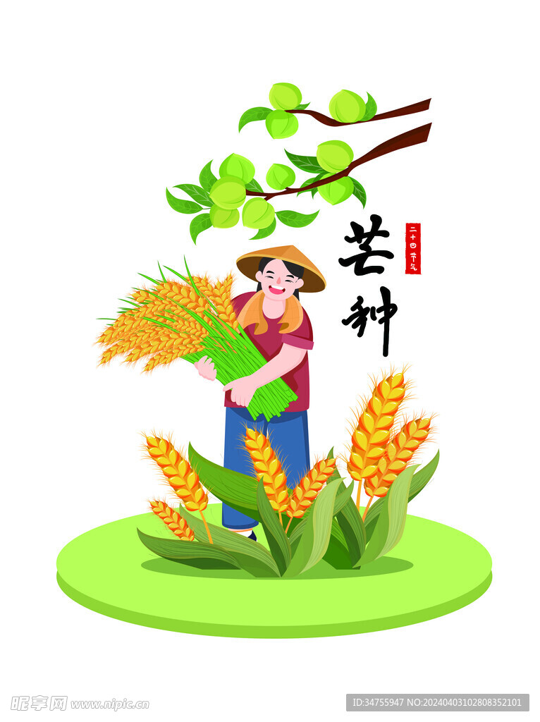 芒种麦穗民俗元素组合