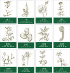 多种药材线稿源文件
