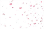 花瓣