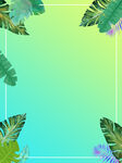 夏季背景
