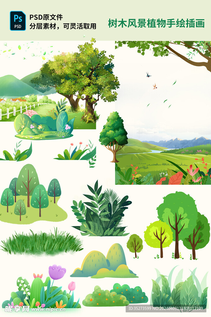 树木风景植物手绘插画