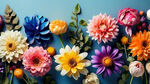 各式各样的七彩鲜花布满整副画面，花朵尽量真实，小清新风格，天蓝色背景存托鲜花平面布局