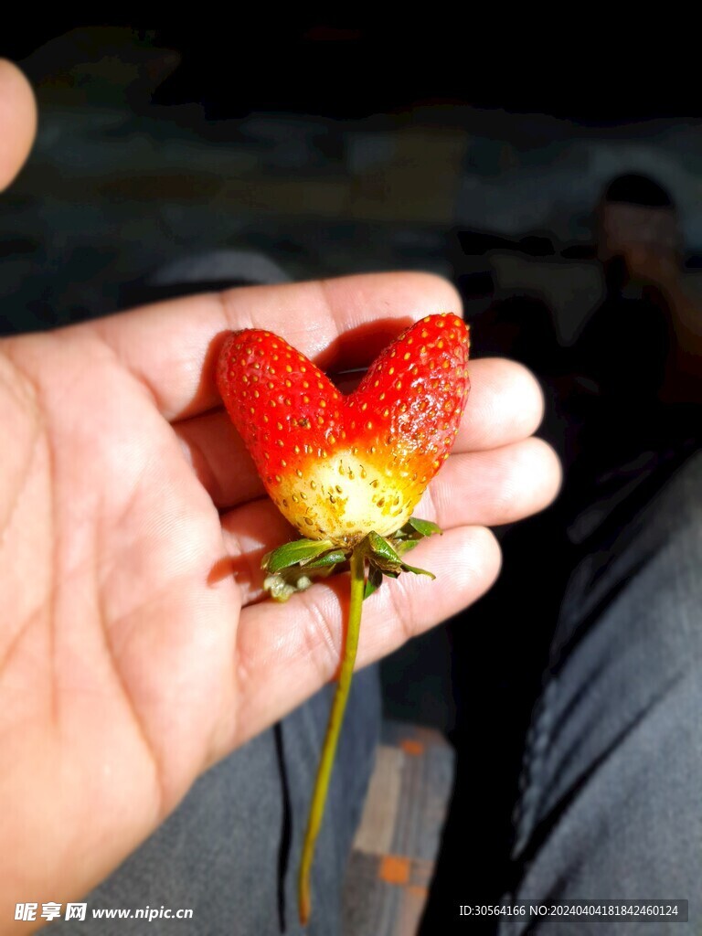 草莓水果