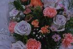 鲜花 