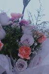 鲜花