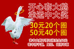 套大鹅