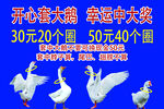 套大鹅
