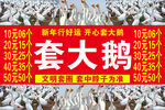 套大鹅