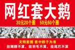 套大鹅