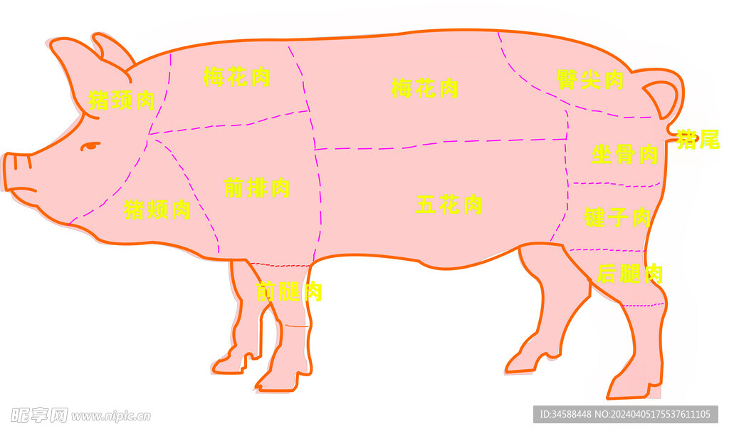 猪部位分解图元素图片