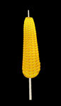 玉米棒 