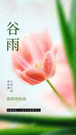 谷雨节气海报