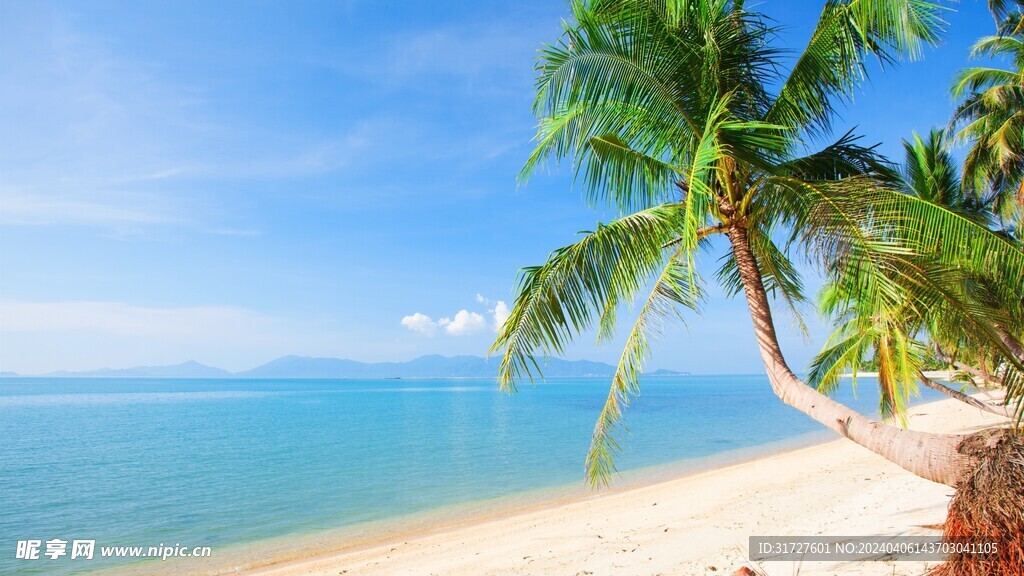 夏天