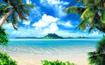 夏天