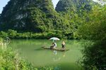 户外竹林竹子图片