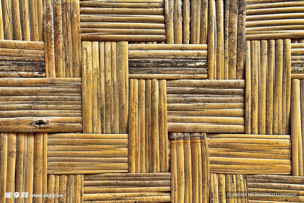 竹子 图片