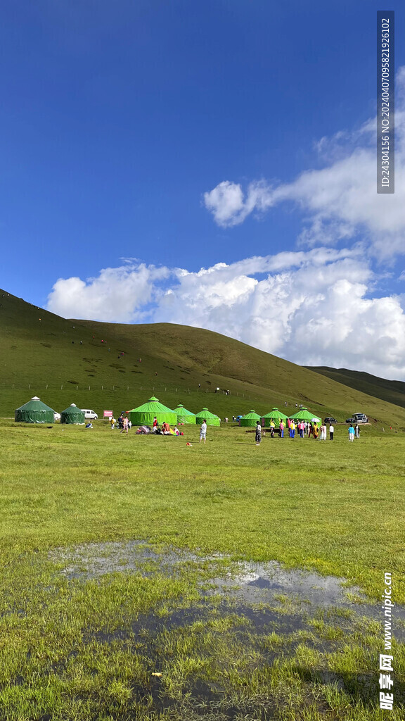 大海草山