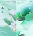 地产小暑 